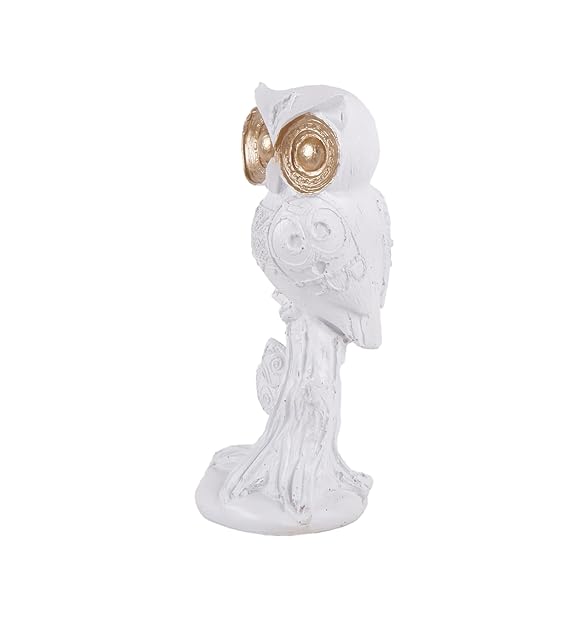 Premium Auspicious Owl with Golden Eyes A Symbol of Wisdom and Fortune1489